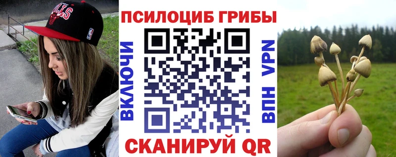 Галлюциногенные грибы Psilocybe  Пенза 